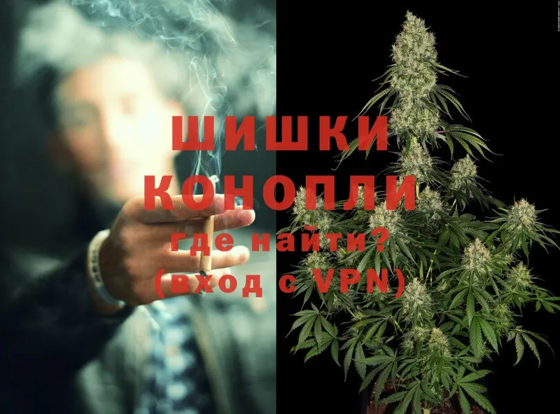 Канабис OG Kush  Бабаево 